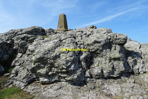Photo 6"x4" Trig point on Skomer Island Gorse Hill\/SM7209 c2019