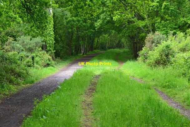 Photo 6"x4" On the Castleman Trailway Ringwood\/SU1505 c2019