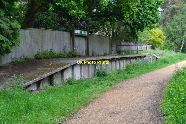 Photo 6"x4" Former railway platform at Ashley Heath Halt Ashley Heath\/SU1104 c2019