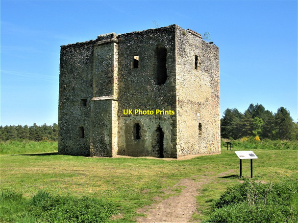 Photo 6"x4" Thetford Warren Lodge Santon Downham c2019