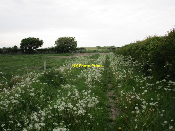 Photo 6"x4" Bridleway to Great Morton Retford c2019