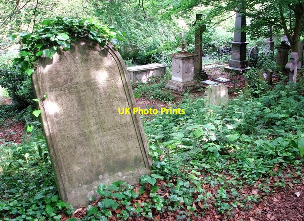 Photo 6"x4" A view from the lower terraces Norwich c2019