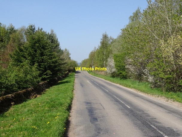 Photo 6"x4" Quarry Road, Locharbriggs Locharbriggs c2019