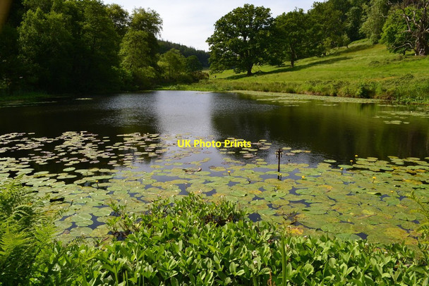 Photo 6"x4" Stourhead Garden: lily pond Stourton\/ST7734 c2019