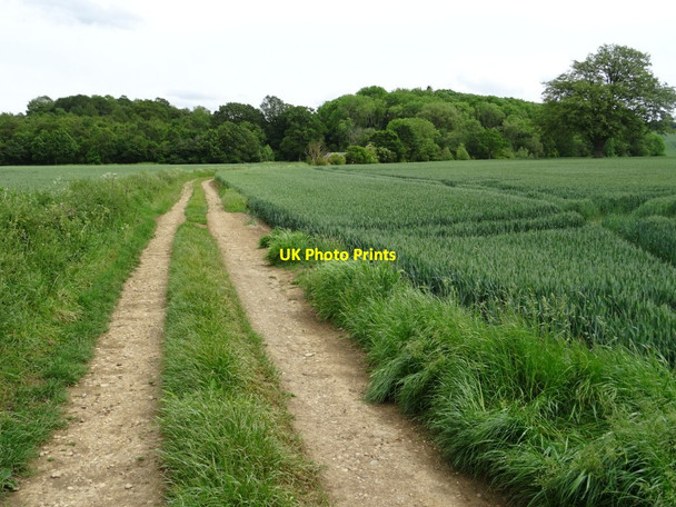 Photo 6"x4" Track and bridleway to The Stalls Cherington\/SP2936 c2019