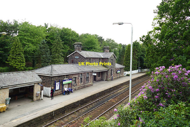 Photo 6"x4" Delamere Station buildings (trackside) Hatchmere c2019