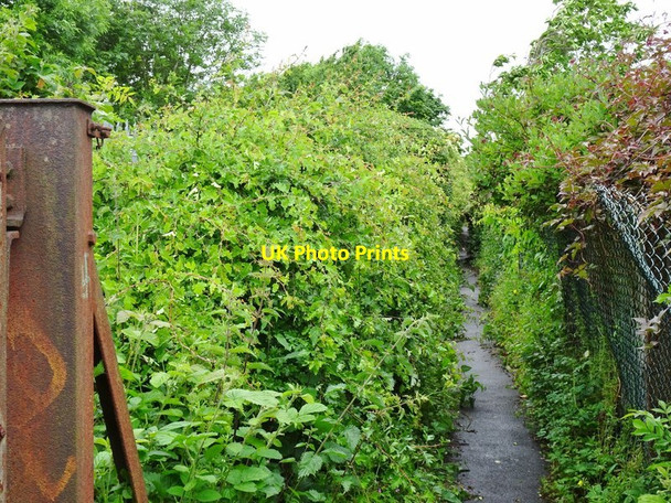 Photo 6"x4" School Side Path Dudley\/SO9390 c2019