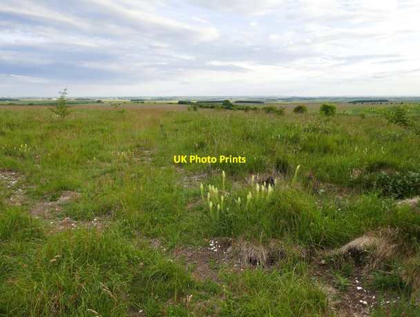 Photo 6"x4" Upavon Down (2) Lower Everleigh c2019