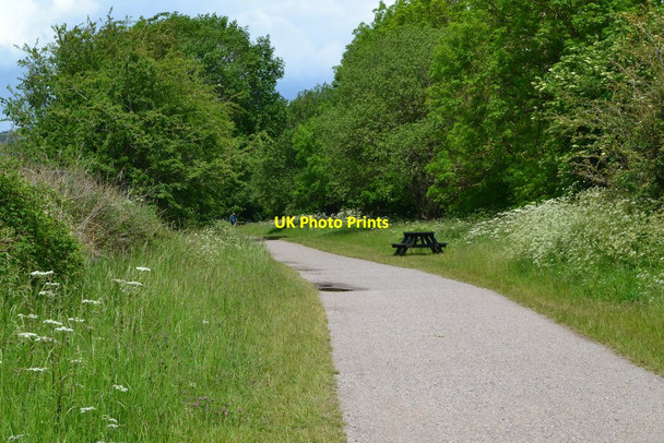 Photo 6"x4" Approaching the site of the former Hassop goods yard Bakewell c2019