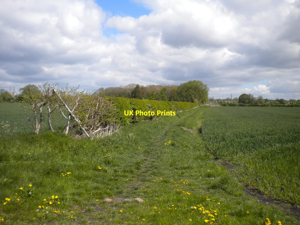 Photo 6"x4" Bridleway across Sinfin Moor (1) Sinfin Moor c2019