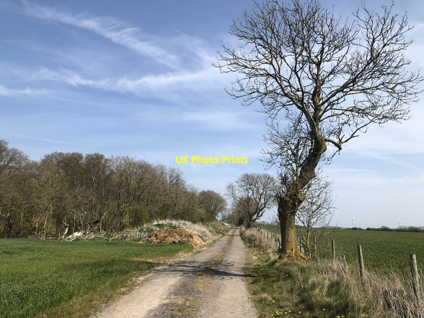 Photo 6"x4" Bridleway beside Walkway Wind Farm Embleton\/NZ4129 c2019