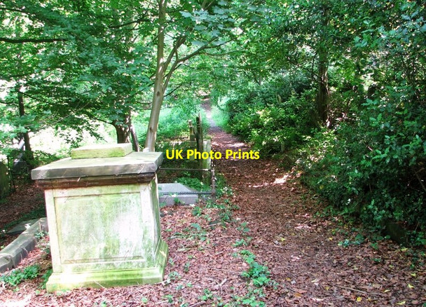 Photo 6"x4" A path on the lower terraces Norwich c2019