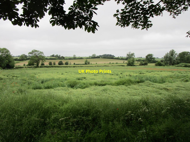 Photo 6"x4" Rain battered field, Normanton on Cliffe Normanton-on-Cliffe c2019