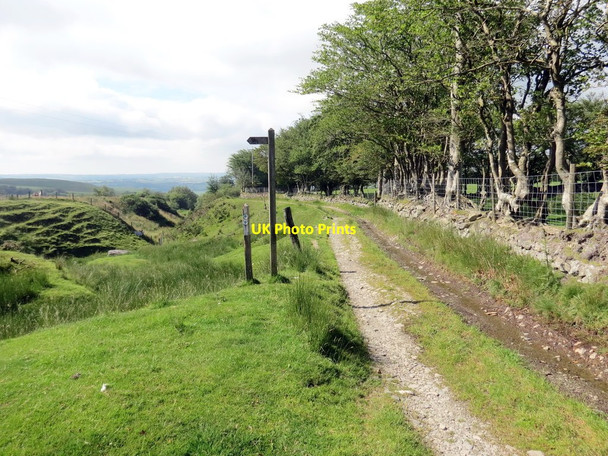 Photo 6"x4" Cyffordd o lwybrau ceffyl \/ A junction of bridleways Tregaron c2019