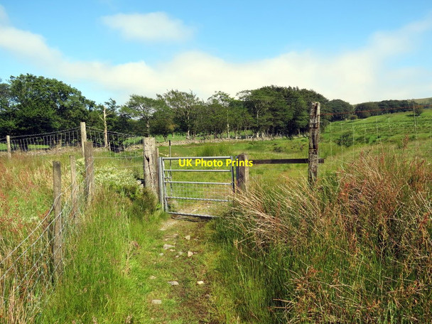 Photo 6"x4" Llwybr ceffyl ger Bryn-wernen \/ A bridleway near Bryn-wernen Tregaron c2019