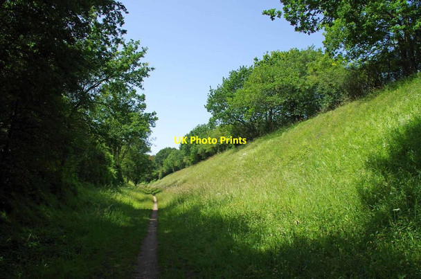 Photo 6"x4" Dunmow Cutting Great Dunmow c2019