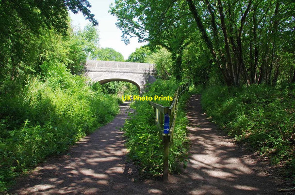 Photo 6"x4" Great Canfield Rd Bridge Takeley c2019