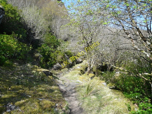 Photo 6"x4" Path along south shore of Loch Hourn Kinloch Hourn c2009