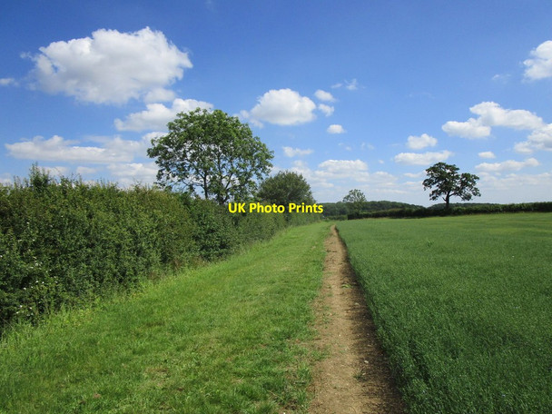 Photo 6"x4" Bridleway by a field of linseed Bitchfield c2019
