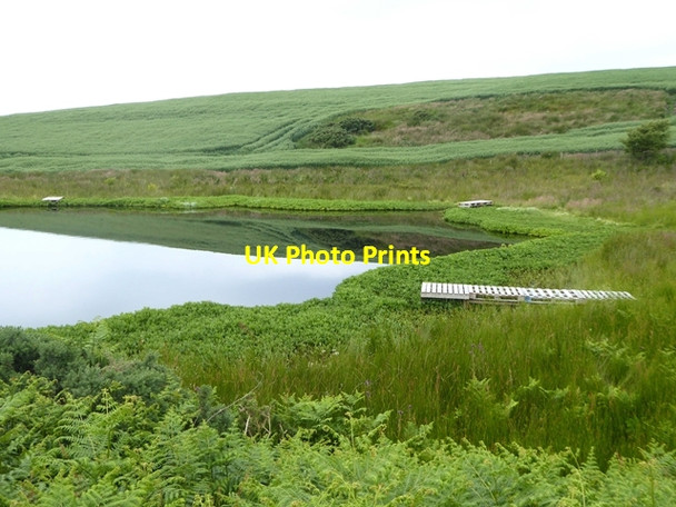 Photo 6"x4" Fishing pond on the road to Meikle Larbrax Portslogan c2019