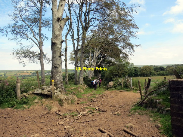 Photo 6"x4" Llwybr ceffyl Ffynhonnau \/ Ffynhonnau Bridleway Colston\/SM9828 c2019
