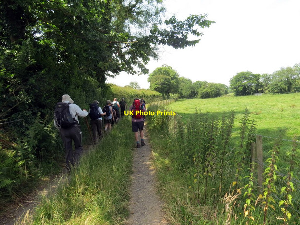 Photo 6"x4" Llwybr Ceffyl Little Hall \/ Little Hall Bridleway Colston\/SM9828 c2019