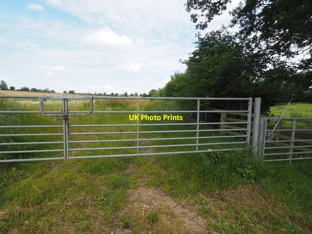 Photo 6"x4" Locked field gate with opening gate to Bridleway South Pickenham c2019