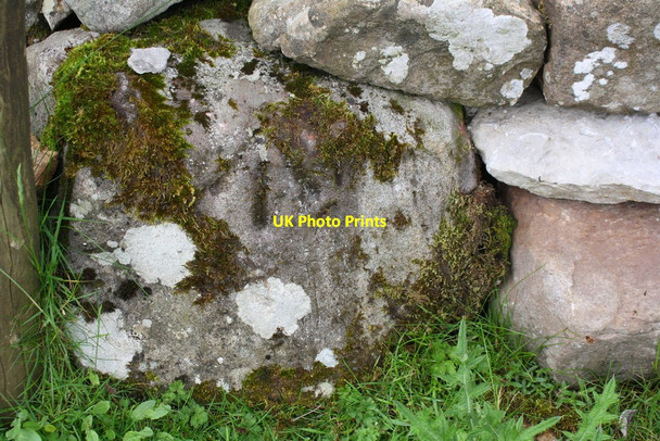 Photo 6"x4" Benchmark on boulder in wall beside track west of Cave Hill Selside\/SD7875 c2019