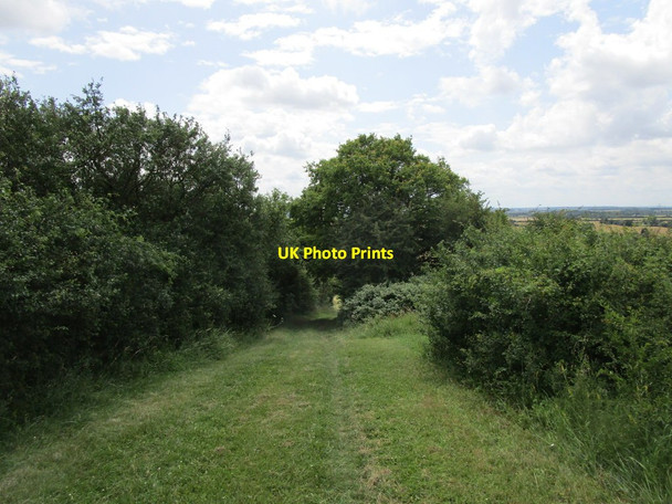 Photo 6"x4" Bridleway descending Crane Hill Abbotsley c2019