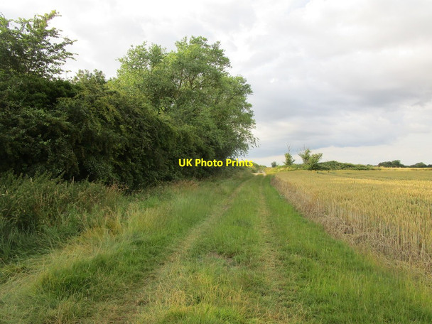 Photo 6"x4" Bridleway near Midloe Grange Hail Weston c2019