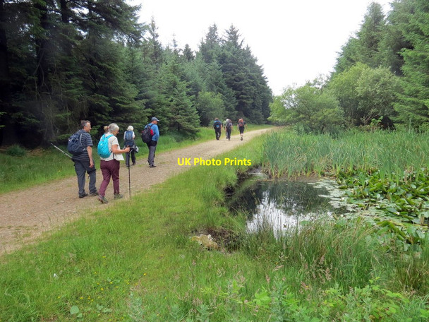 Photo 6"x4" Cerddwyr yn mynd heibio i bownd bach \/ Walkers passing a small pond Maesteg\/SS8591 c2019