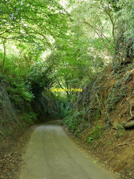 Photo 6"x4" Holloway, Blackheath Lane, Albury (2) Albury\/TQ0547 c2019