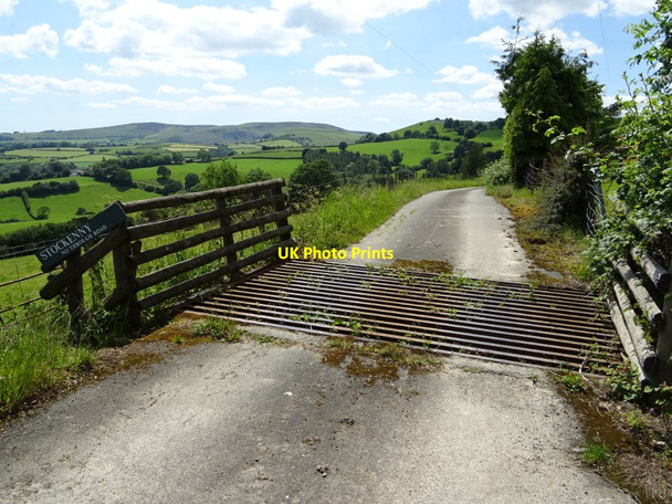 Photo 6"x4" Cattle grid on road to Stockenny Farm New Radnor c2019