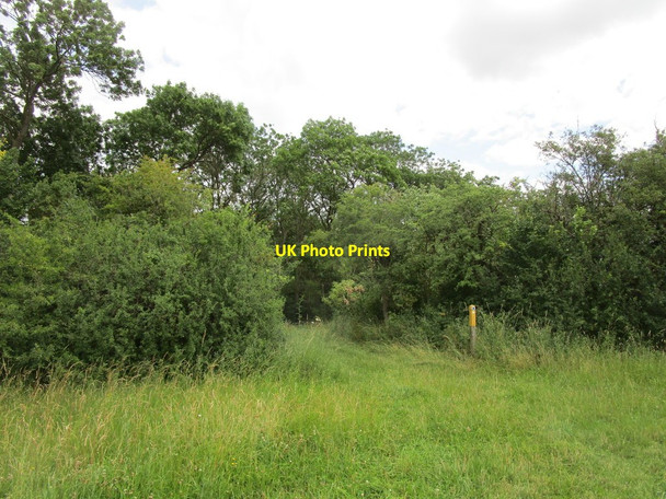 Photo 6"x4" Bridleway entering Highfield Spinney Abbotsley c2019