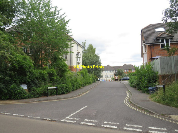 Photo 6"x4" Aldersey Fields, Alton Alton\/SU7139 c2019