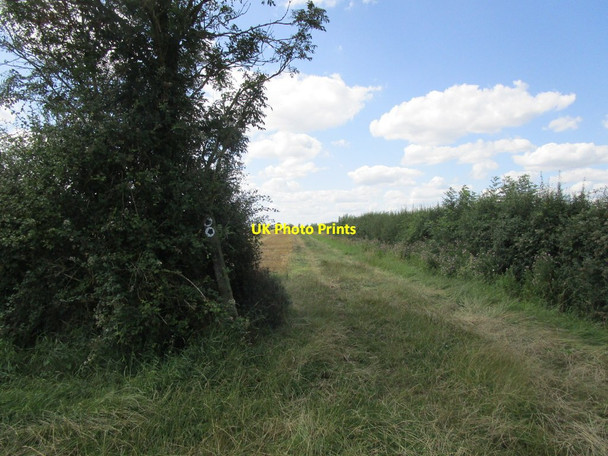 Photo 6"x4" Bridleway to Oundle Road Weldon\/SP9289 c2019