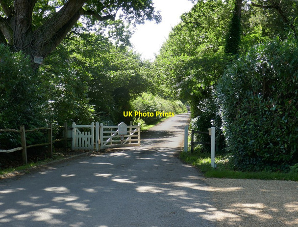 Photo 6"x4" Private road to Knepp Castle West Grinstead c2019