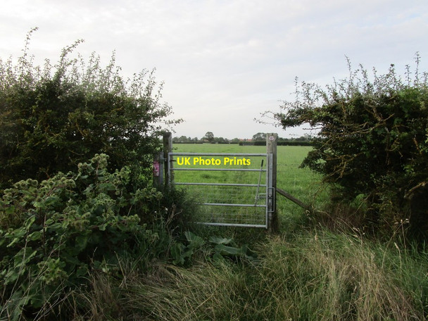 Photo 6"x4" Gate on the restricted byway to Barnby in the Willows Barnby in the Willows c2019