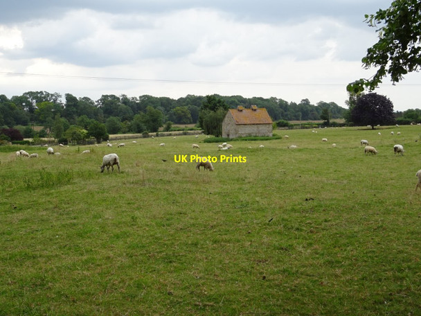 Photo 6"x4" Site of a medieval village Billesley\/SP1456 c2019