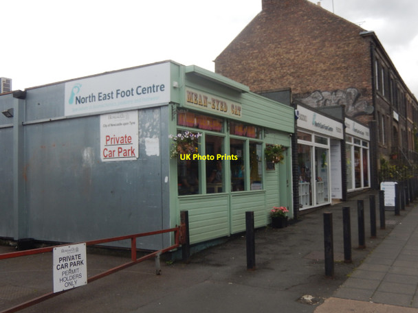 Photo 6"x4" The Mean-Eyed Cat, Newcastle upon Tyne Newcastle upon Tyne c2019