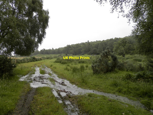 Photo 6"x4" Farm track and ford at Clune Farm Dores c2019