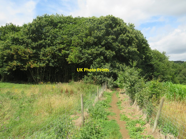 Photo 6"x4" Public footpath near Wotton Wotton\/TQ1247 c2019