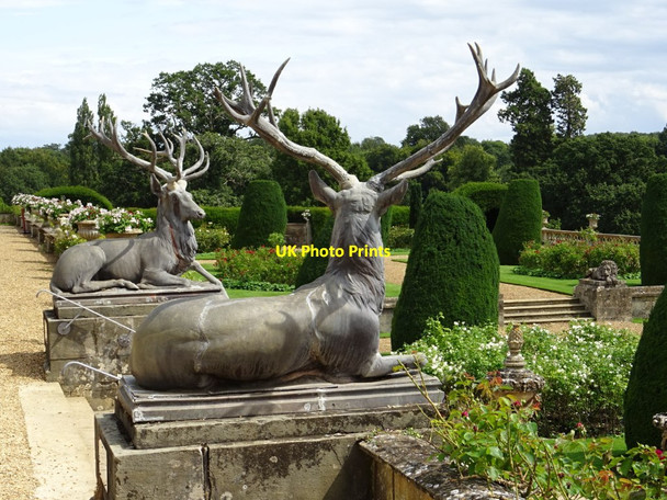 Photo 6"x4" A pair of stags Calne c2019