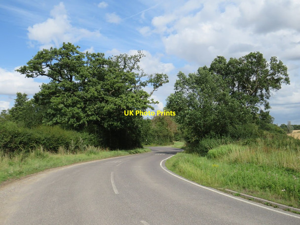 Photo 6"x4" Blake Hall Road, near Ongar Bovinger c2019
