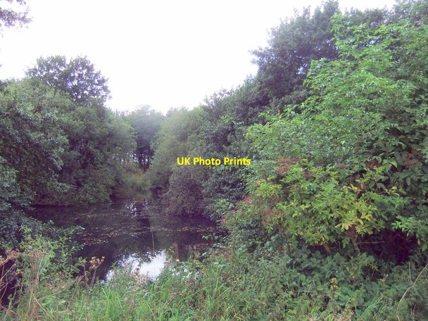 Photo 6"x4" A small pond by Lock Lane Rascal Moor c2019
