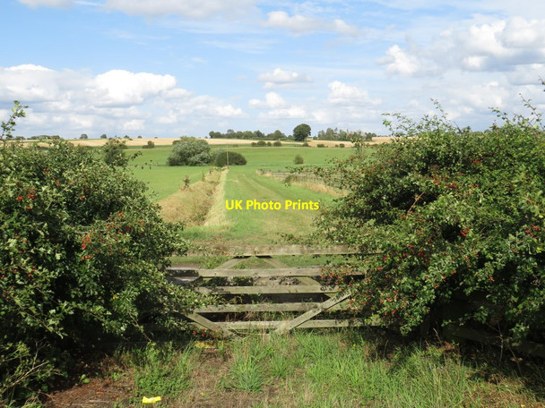 Photo 6"x4" Gate and ditch near Ongar Pedlars End c2019