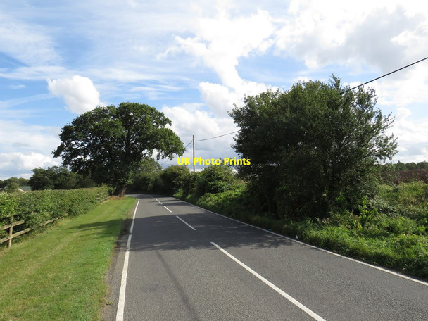 Photo 6"x4" Moreton Road, near Ongar Pedlars End c2019
