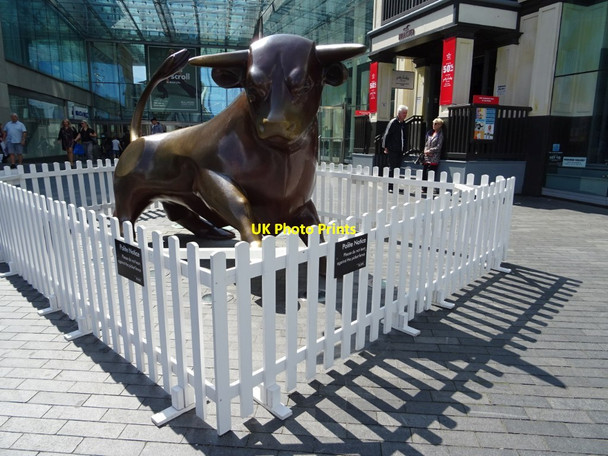 Photo 6"x4" The Bull in the Bullring Birmingham c2019