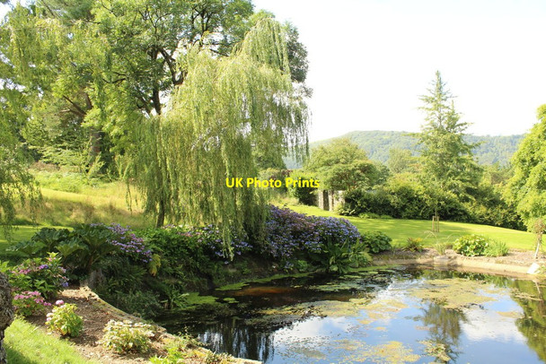 Photo 6"x4" Pond at Maenan Hall gardens Brynmorfudd c2019