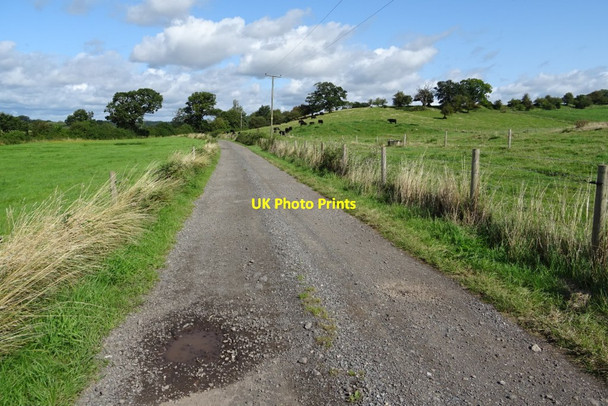Photo 6"x4" Bridleway and track to Day House Cottages Earl's Croome c2019